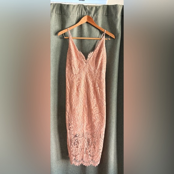 BNWT Bardot Lace Pink/Blush Dress size 6 - Picture 2 of 7